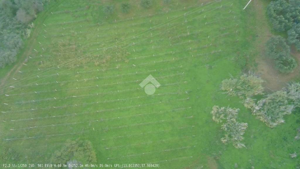 immagine annuncio 8 di 11