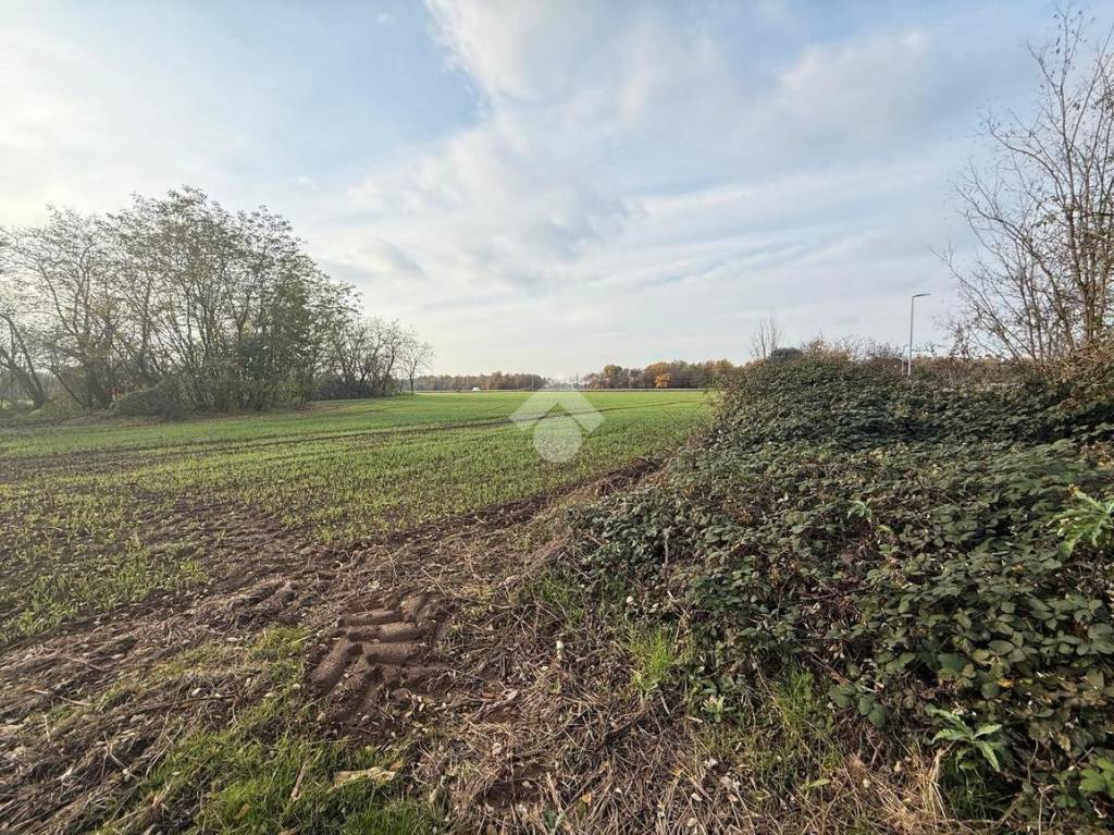 immagine annuncio 3 di 13