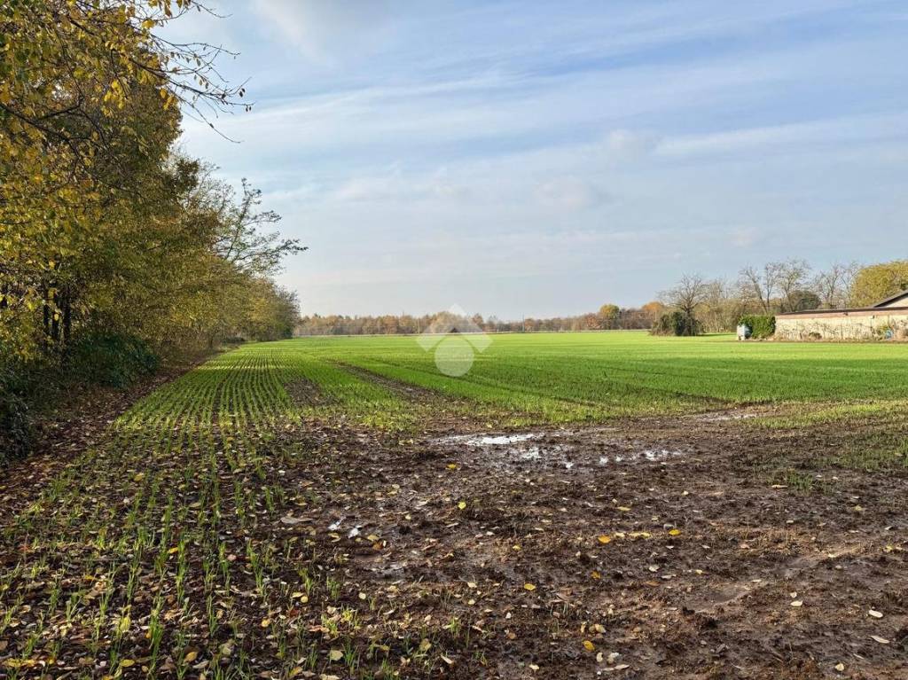 immagine annuncio 7 di 13