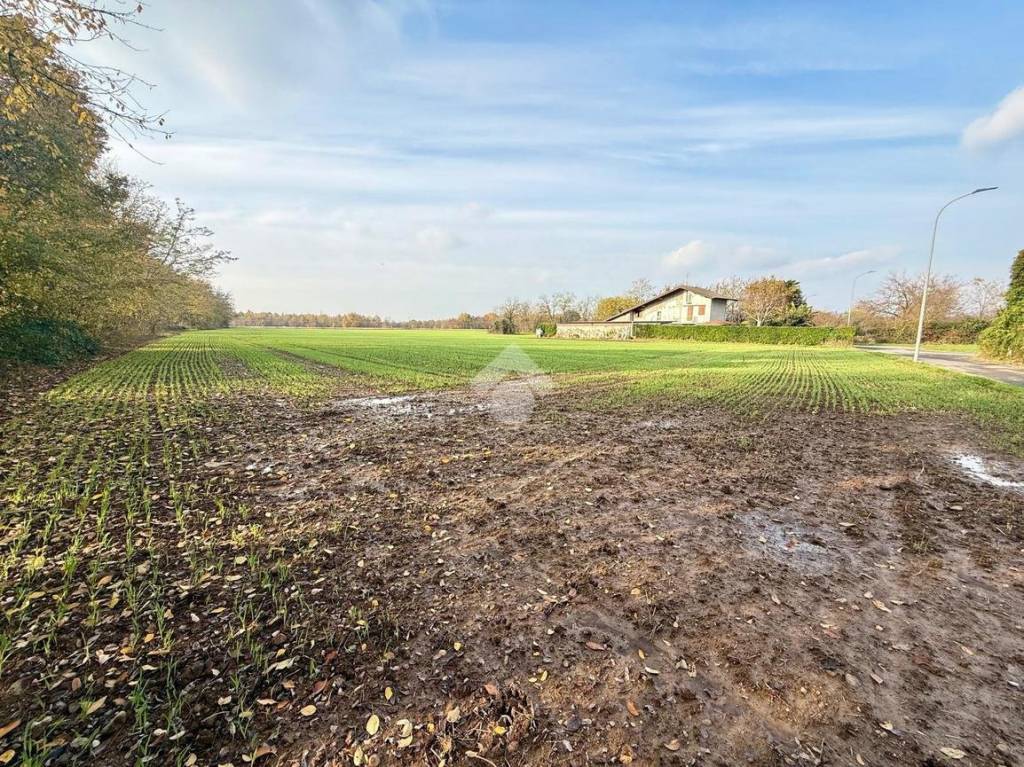 immagine annuncio 10 di 13