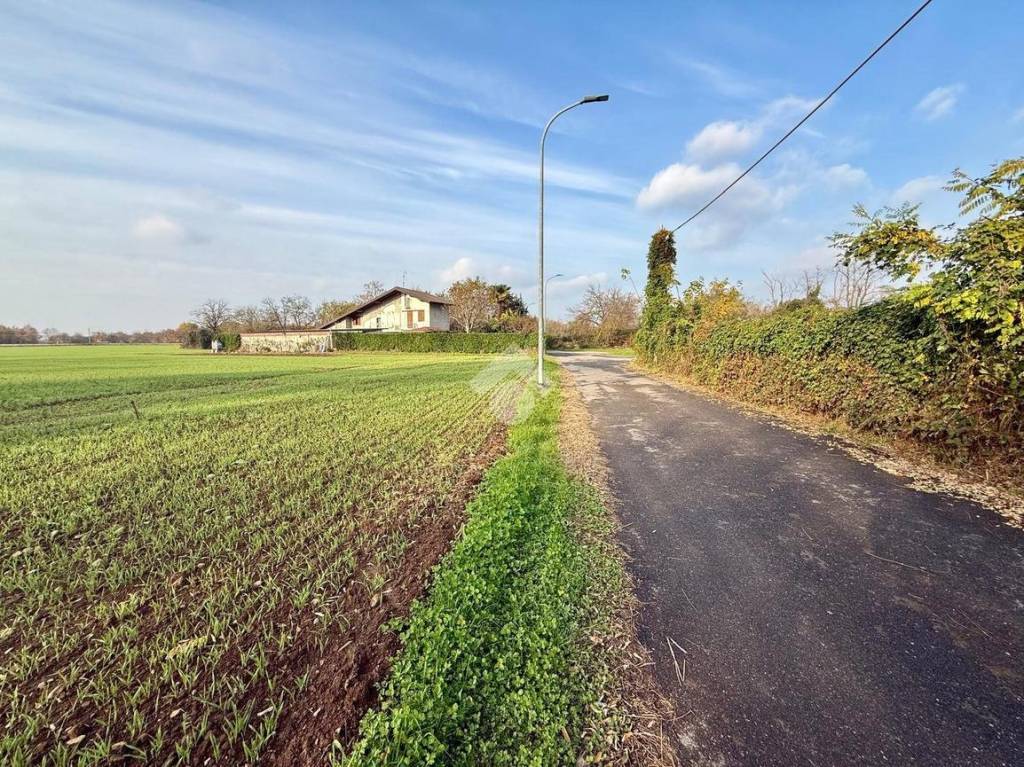 immagine annuncio 12 di 13