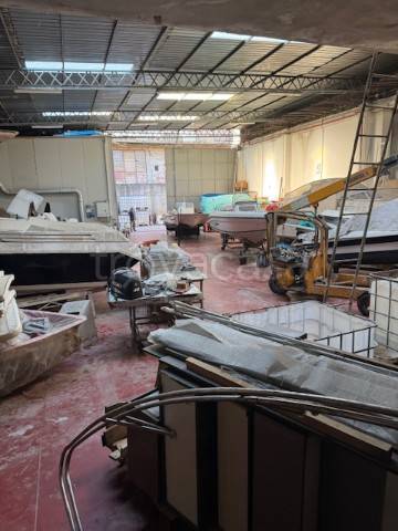 immagine annuncio 3 di 14