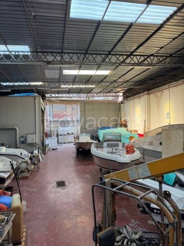 immagine annuncio 6 di 14