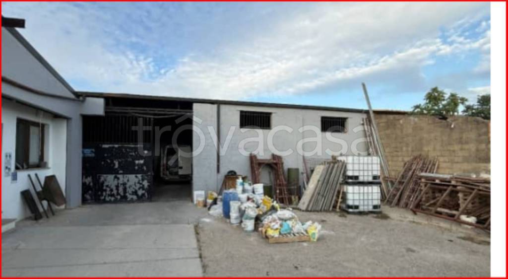 immagine annuncio 4 di 14