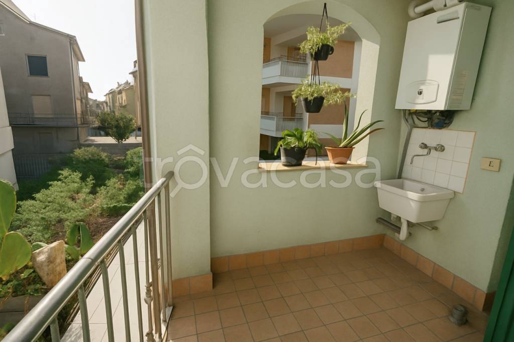 immagine annuncio 13 di 14