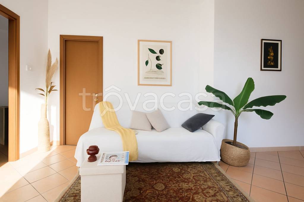 immagine annuncio 3 di 14