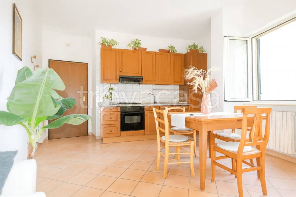 immagine annuncio 2 di 14