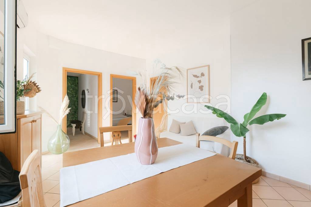 immagine annuncio 6 di 14