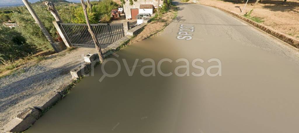 immagine annuncio 3 di 8