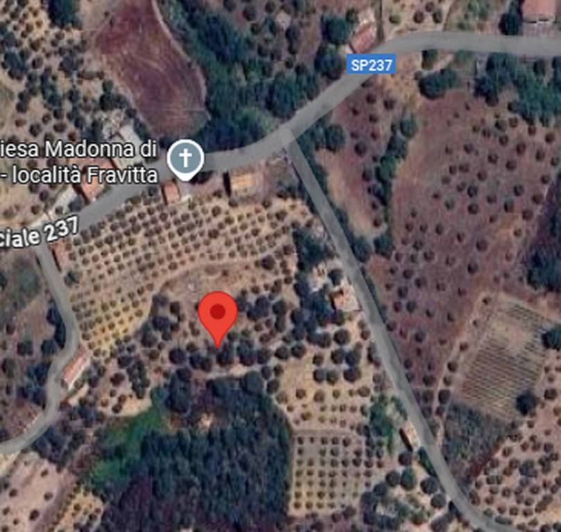 immagine annuncio 6 di 8