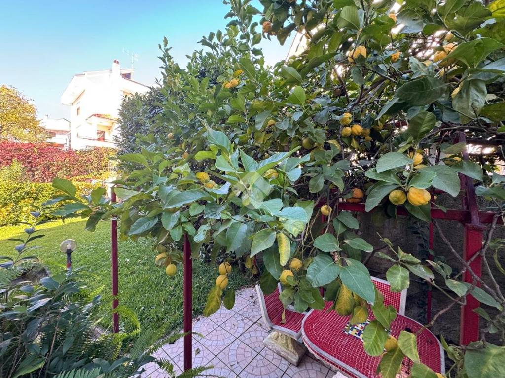 immagine annuncio 9 di 15