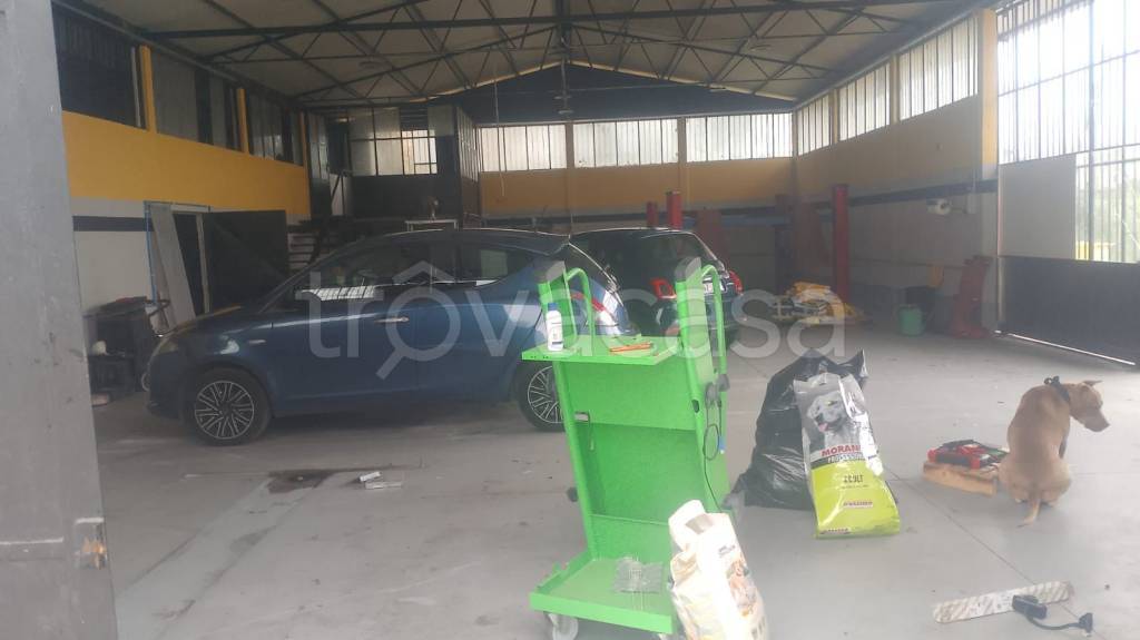 immagine annuncio 2 di 10