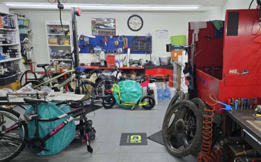 immagine annuncio 9 di 10