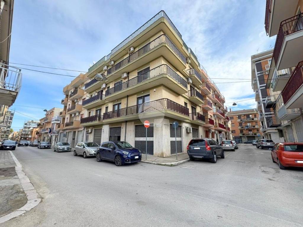 immagine annuncio 10 di 11