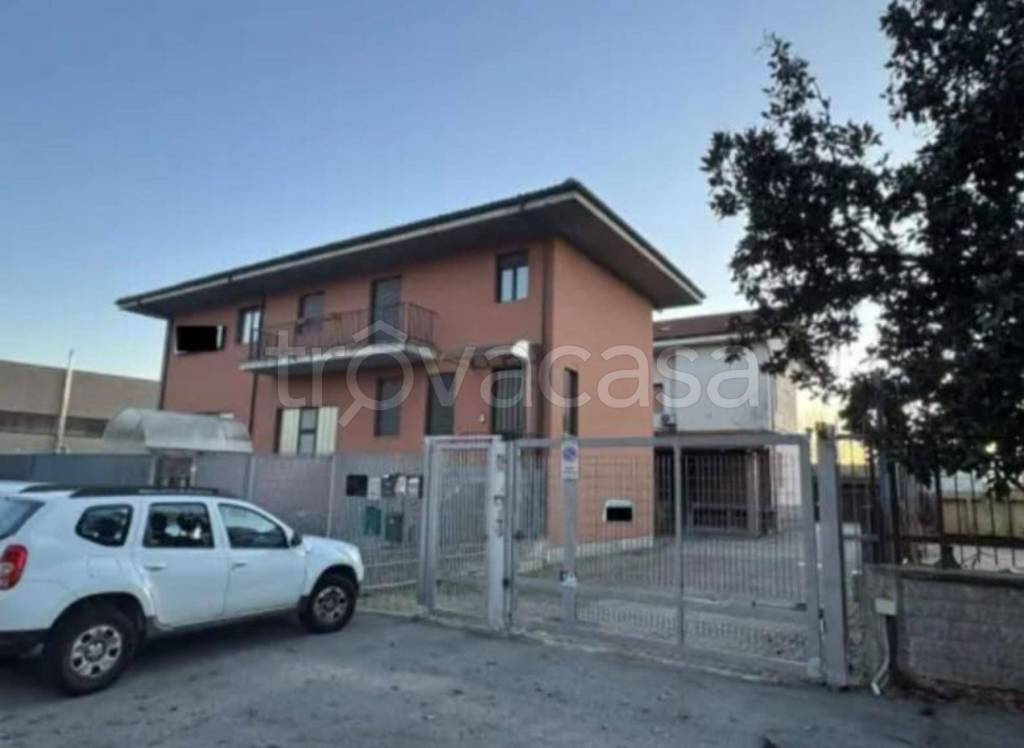 immagine annuncio 10 di 12