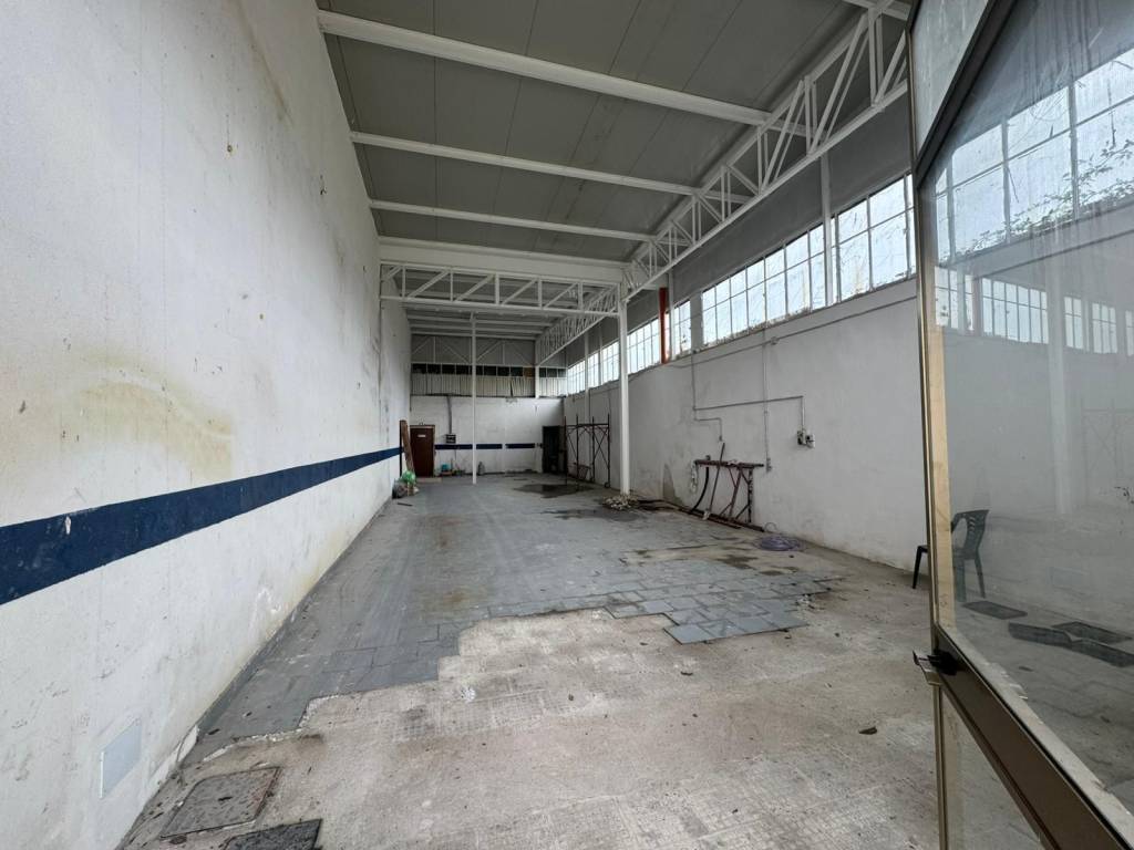 immagine annuncio 3 di 11