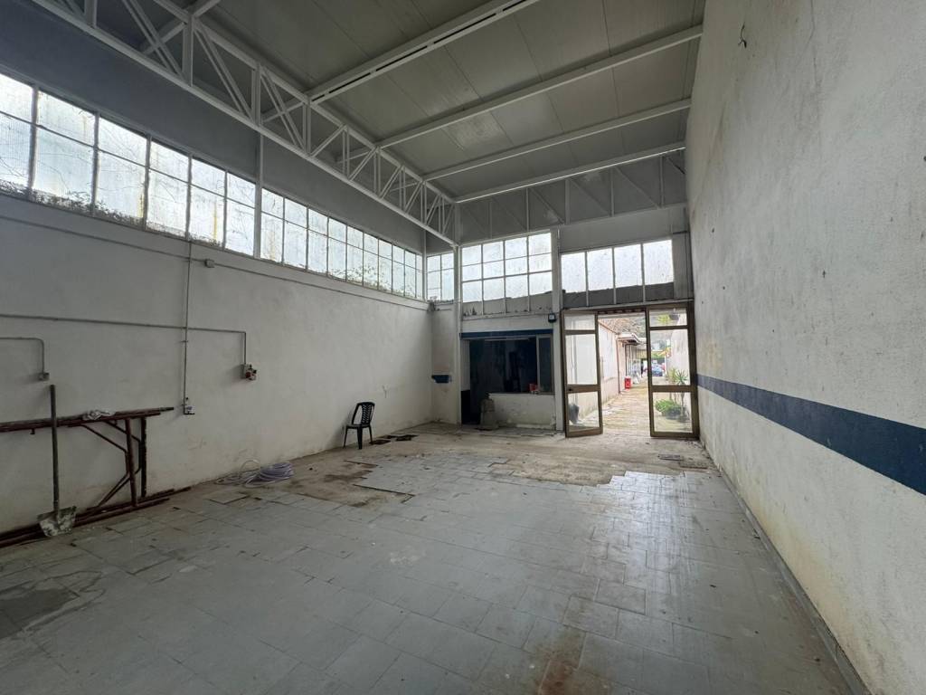 immagine annuncio 5 di 11