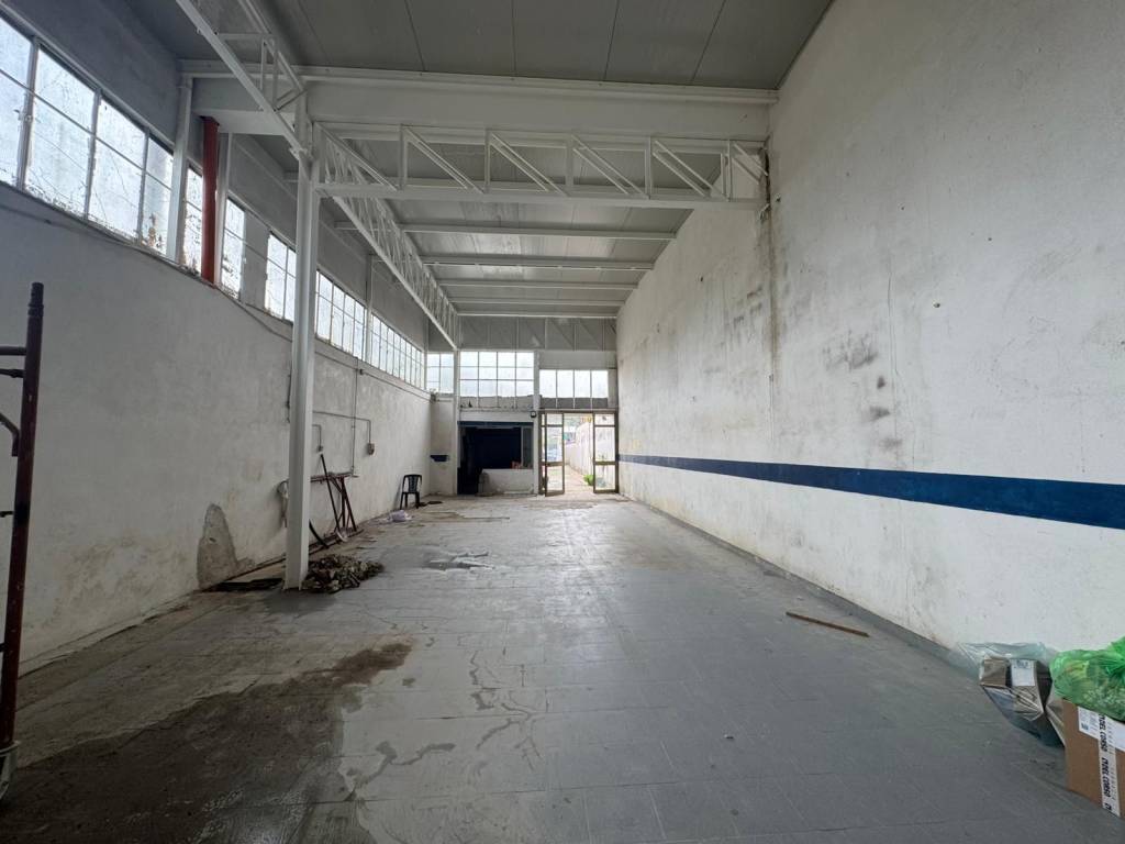 immagine annuncio 6 di 11