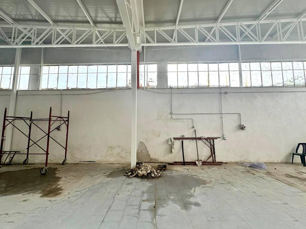 immagine annuncio 7 di 11