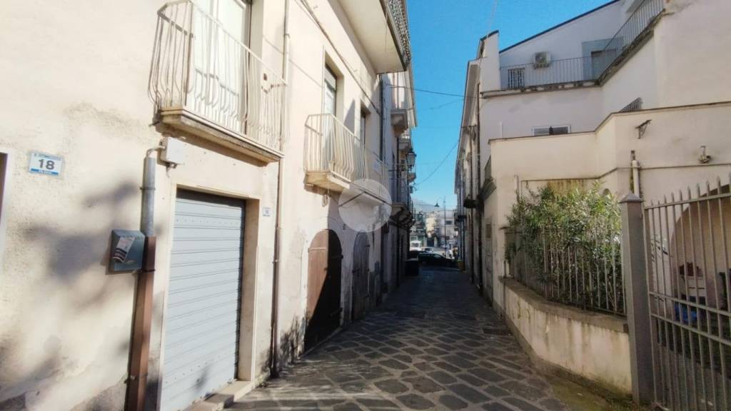 immagine annuncio 9 di 14