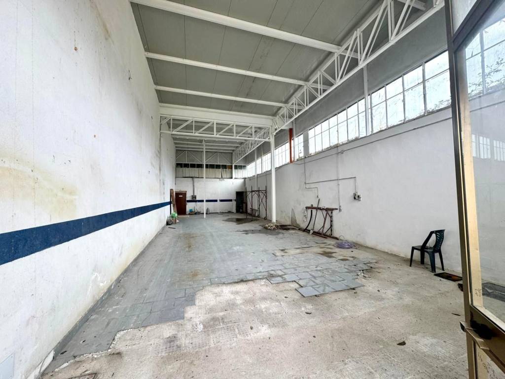 immagine annuncio 8 di 11