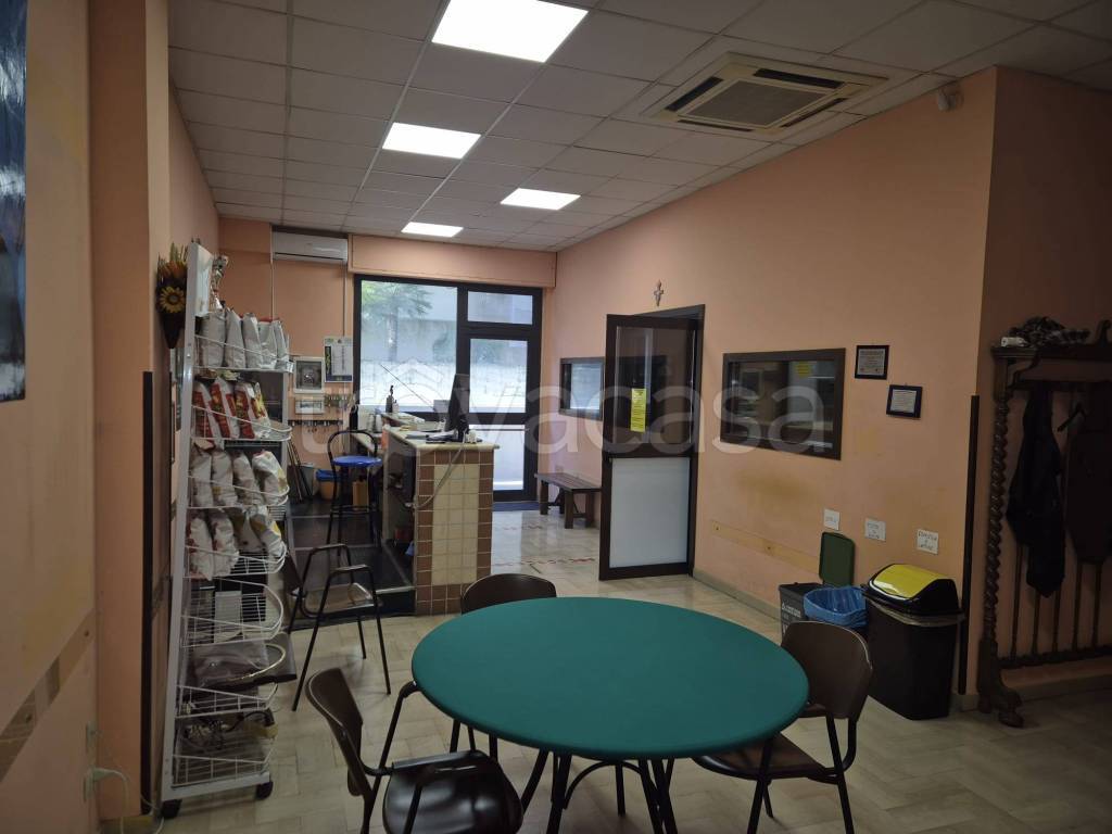 immagine annuncio 4 di 14