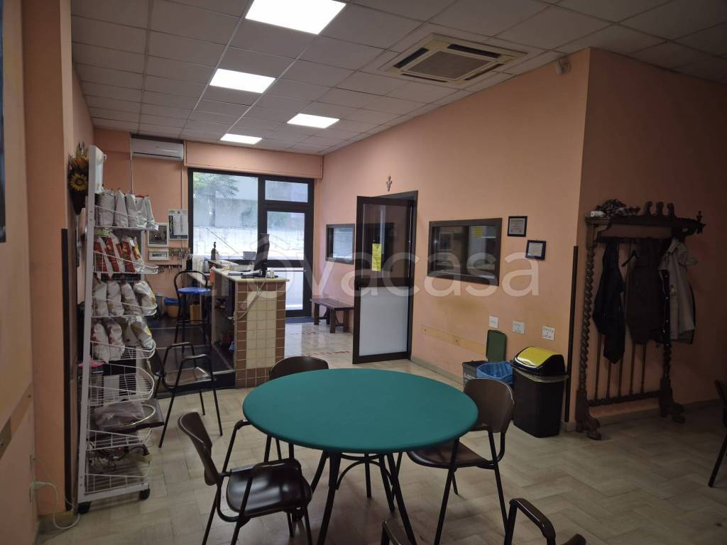 immagine annuncio 5 di 14