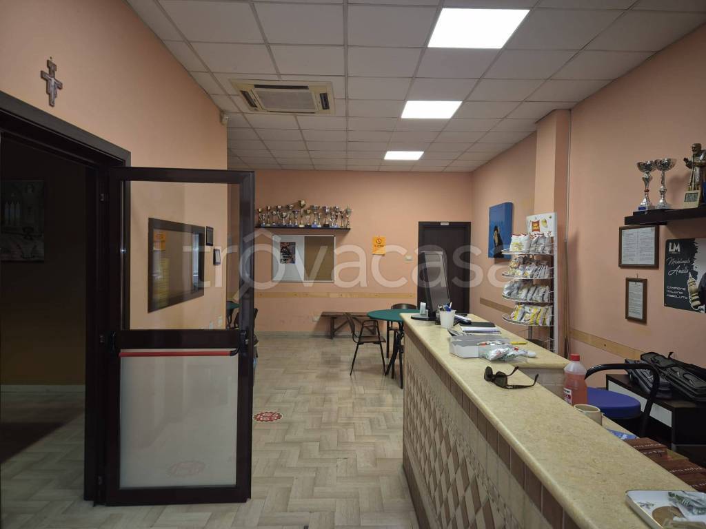 immagine annuncio 2 di 14