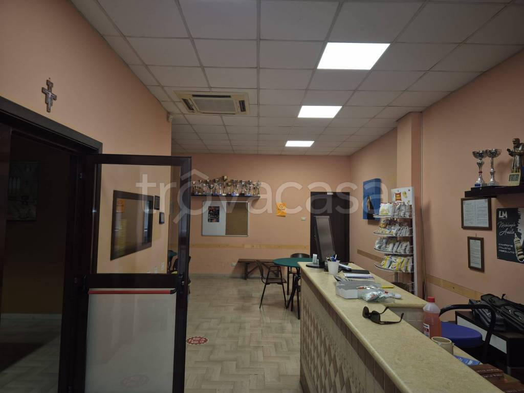 immagine annuncio 3 di 14