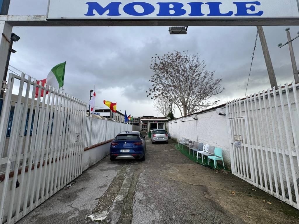 immagine annuncio 9 di 11