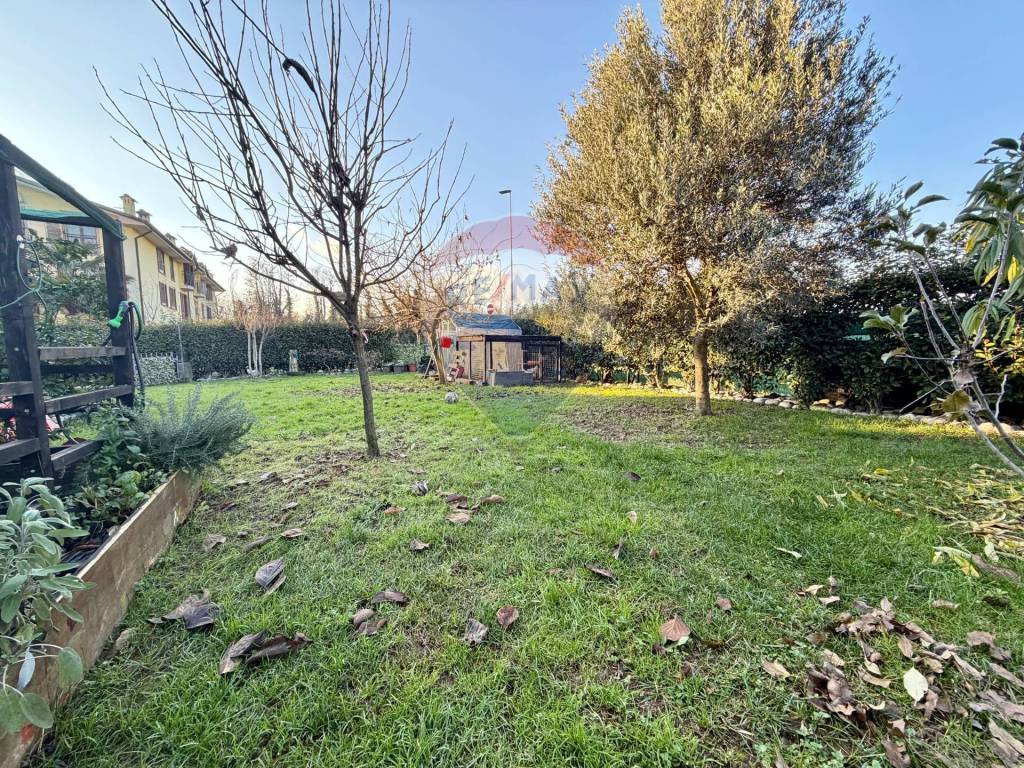 immagine annuncio 12 di 15