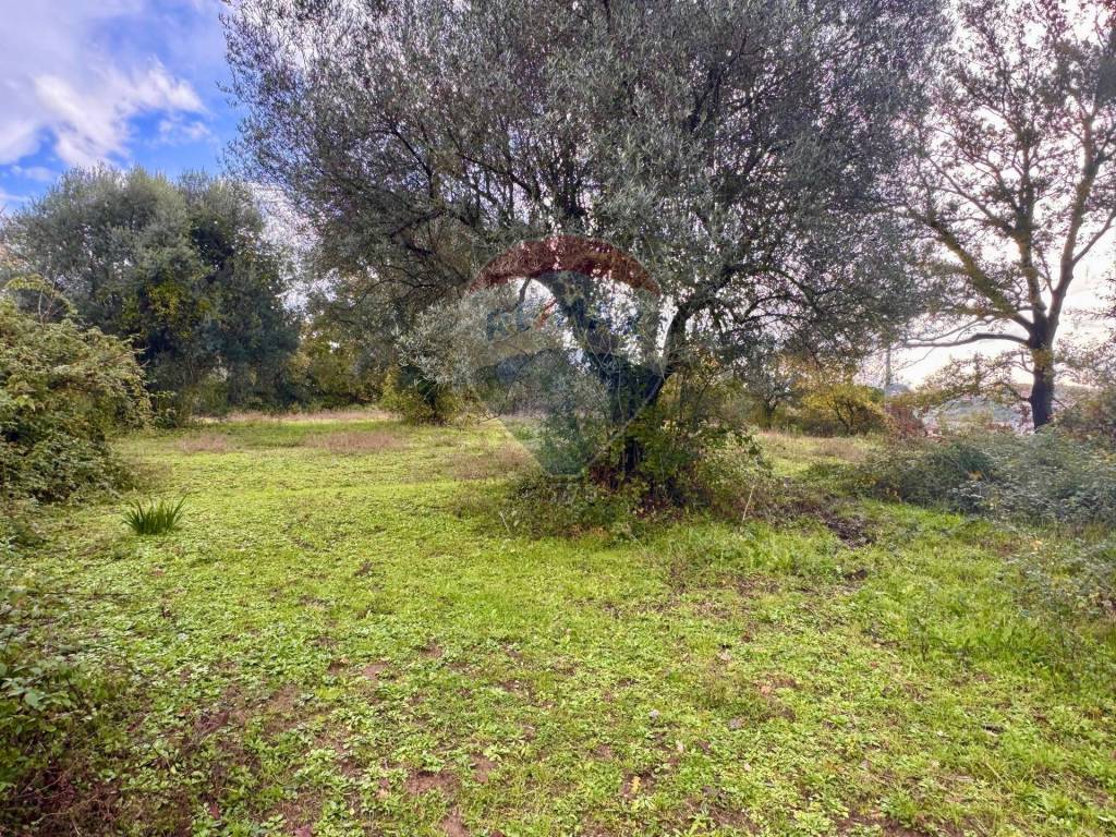 immagine annuncio 7 di 14