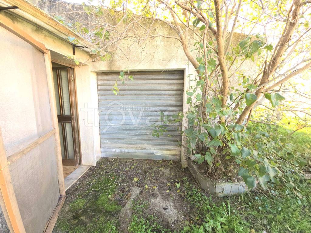 immagine annuncio 1 di 14