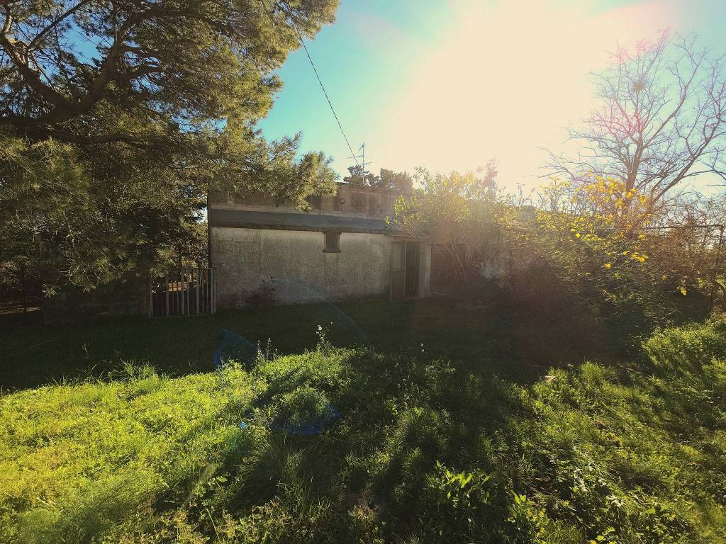 immagine annuncio 2 di 14