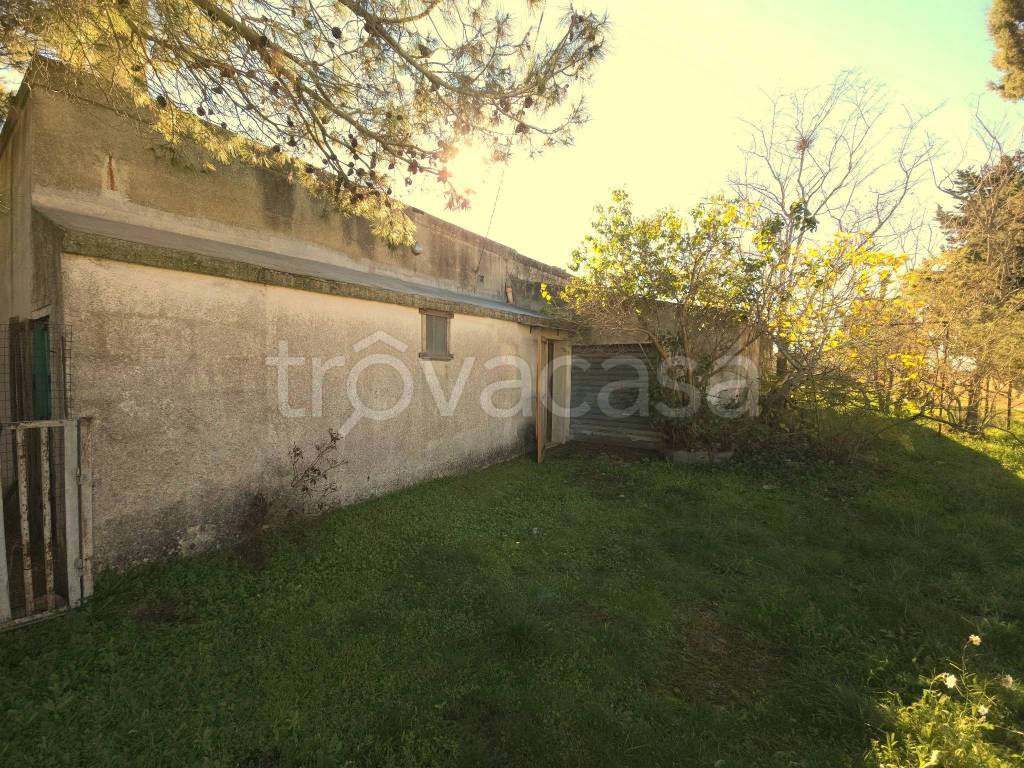 immagine annuncio 4 di 14