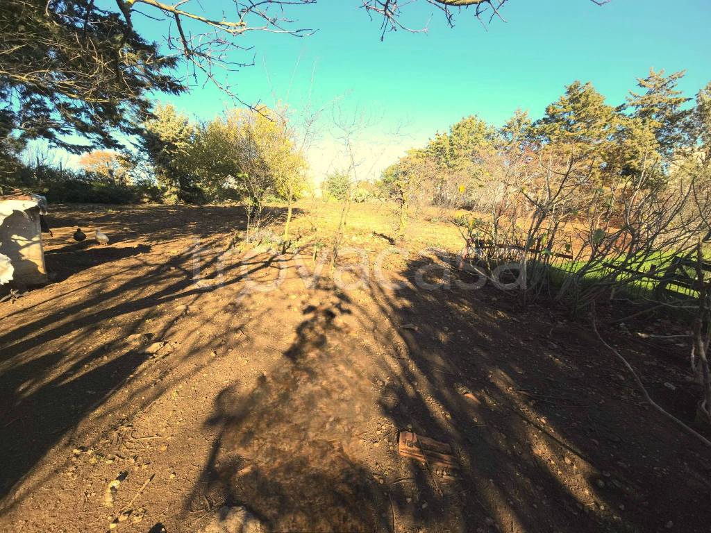 immagine annuncio 10 di 14