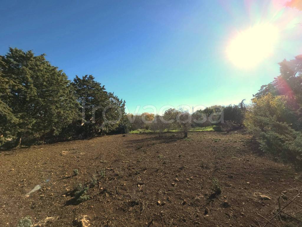 immagine annuncio 11 di 14