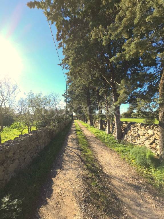 immagine annuncio 13 di 14