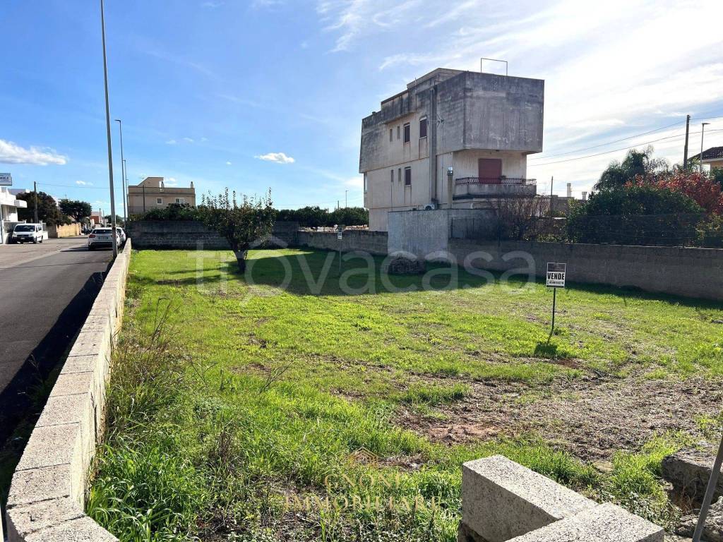 immagine annuncio 4 di 15