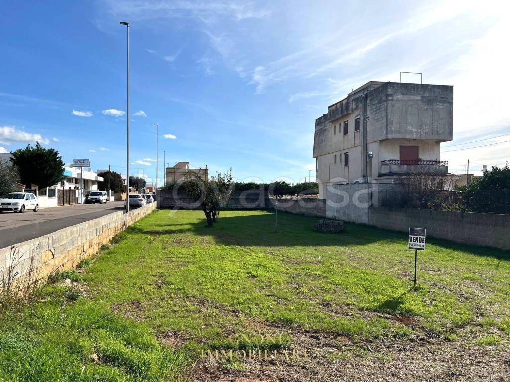 immagine annuncio 13 di 15