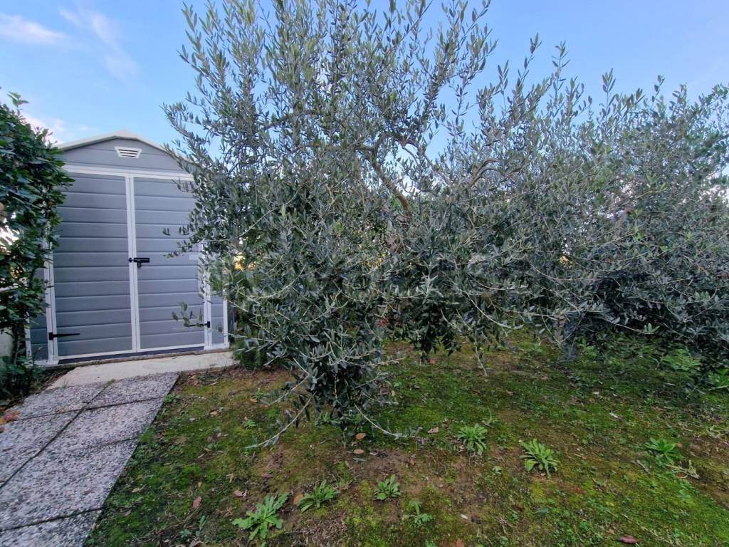 immagine annuncio 3 di 15