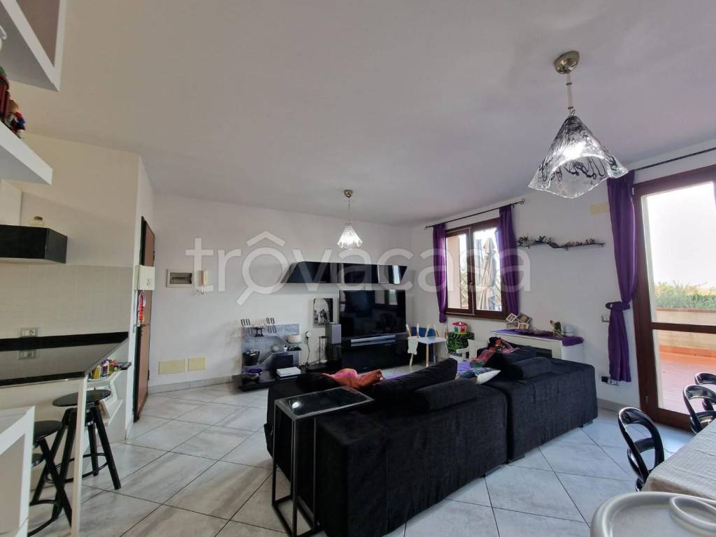 immagine annuncio 9 di 15