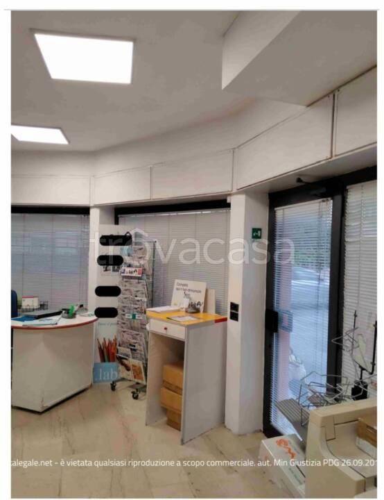 immagine annuncio 3 di 8