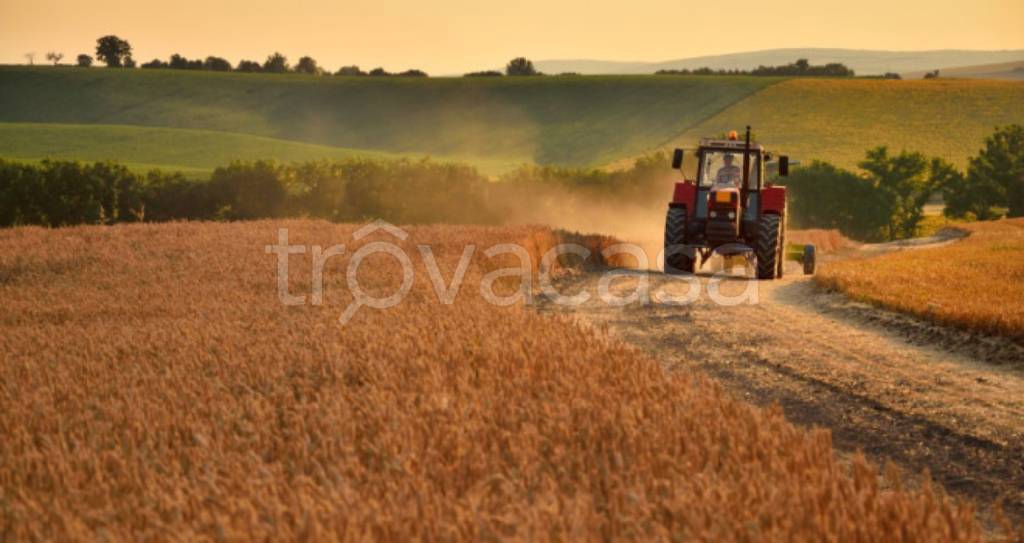 immagine annuncio 4 di 7