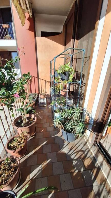 immagine annuncio 4 di 6