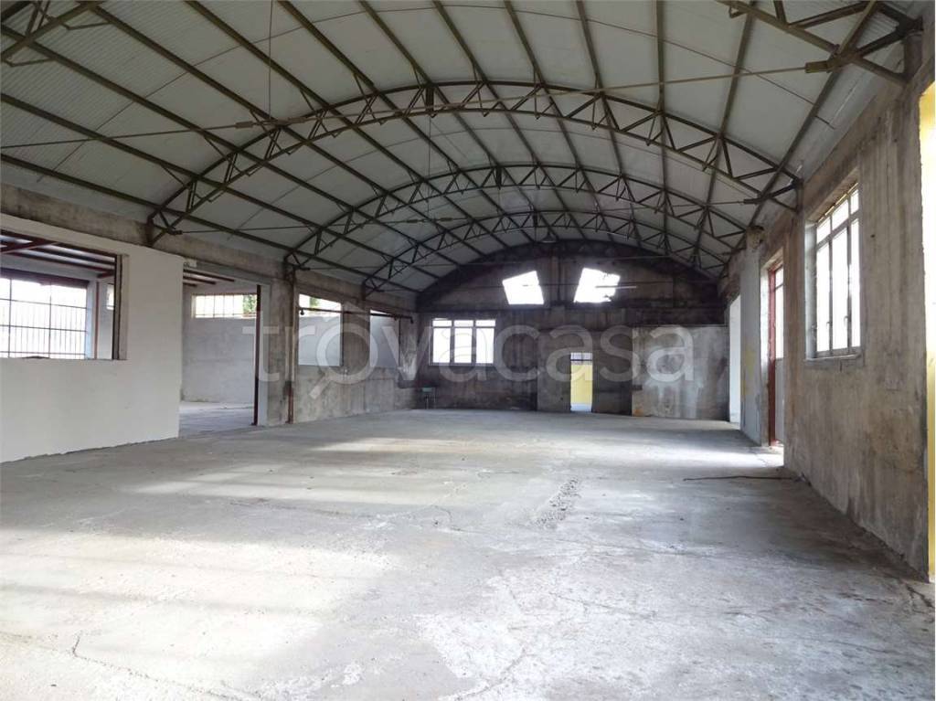 immagine annuncio 4 di 12