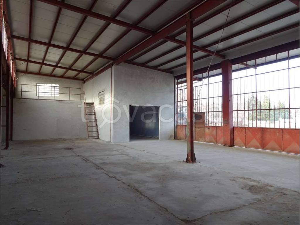 immagine annuncio 6 di 12