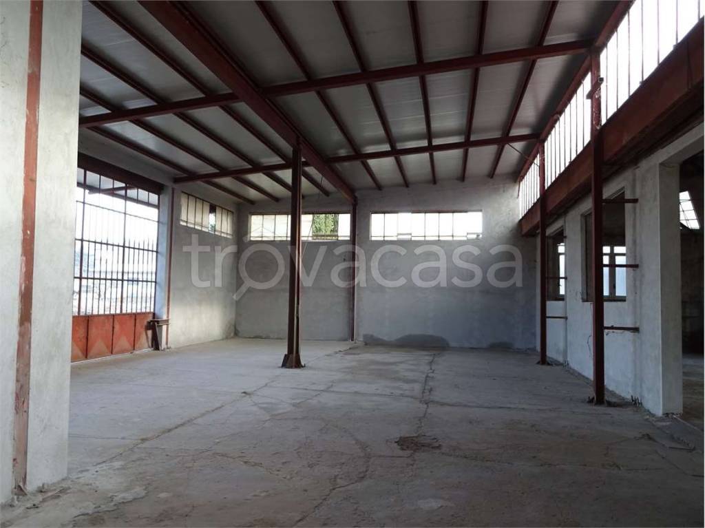 immagine annuncio 10 di 12