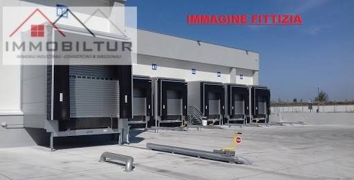 immagine annuncio 1 di 7