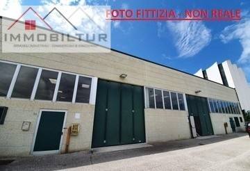 immagine annuncio 4 di 7